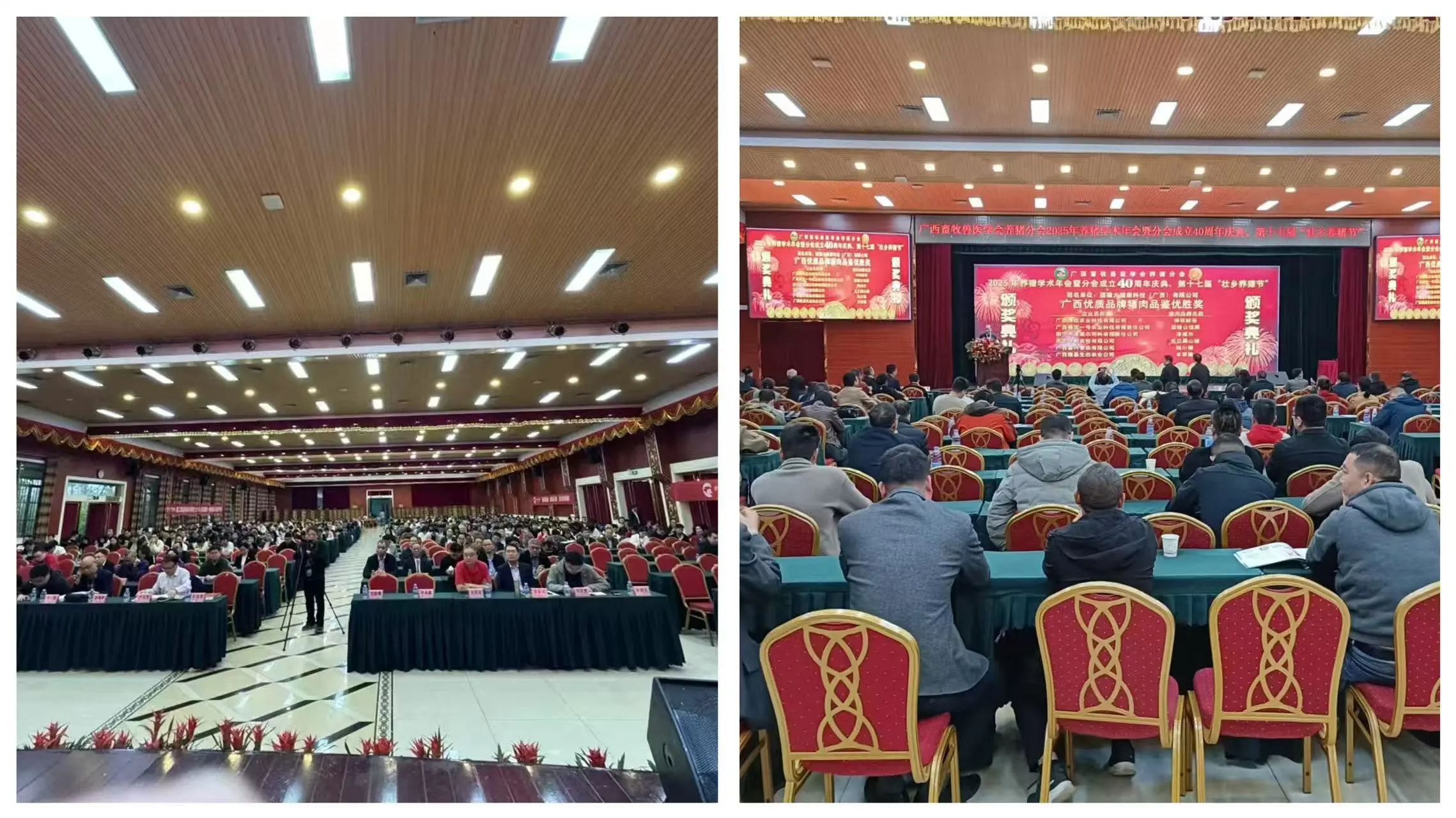 106_content_1743067242075080