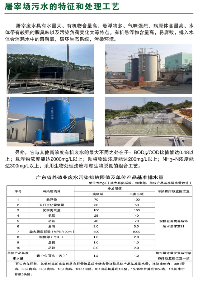 _content_1750124698270955