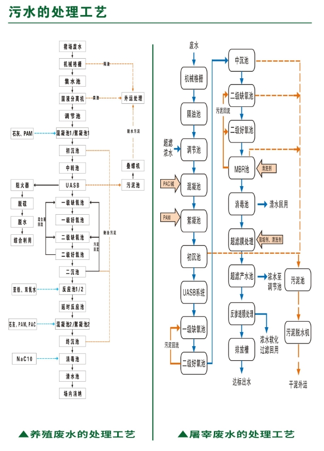 _content_1750124729834948