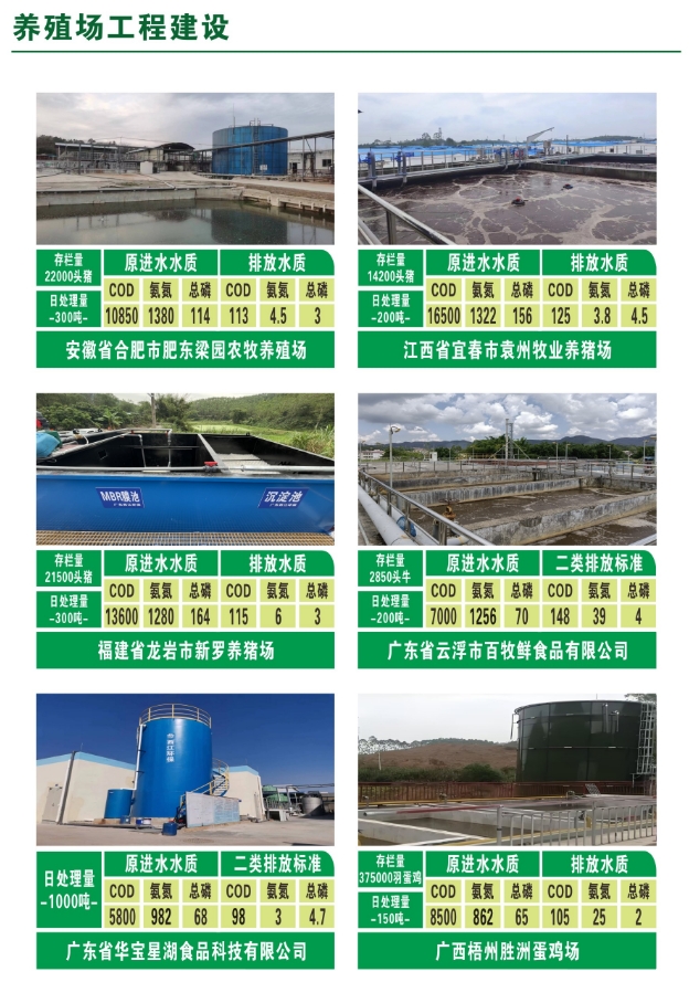 _content_1750124796291290