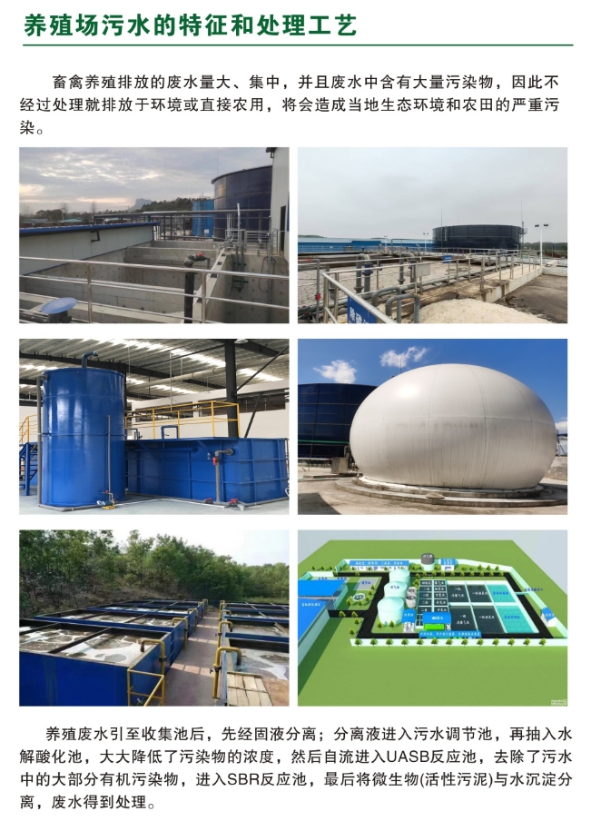 _content_1736756226323363